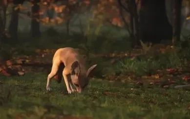 Fox Animation Unreal Engine